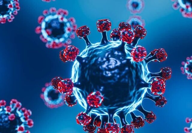 उत्तराखंड में एक और मरीज में कोरोना वायरस की पुष्टि, 11 तक पहुंचा कॉविड-19 संक्रमितों का आंकड़ा