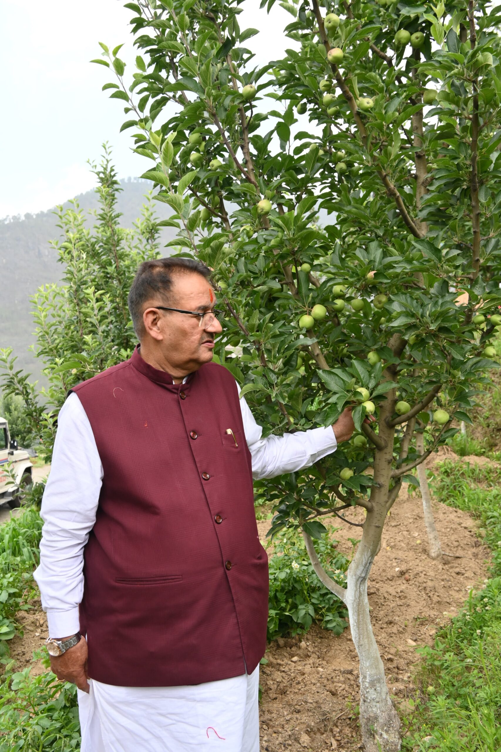 कृषि मंत्री जोशी ने मोरी के गैंचवांण गांव में काश्तकारों से की मुलाकात, सेब बागान का किया निरीक्षण