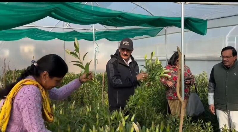आत्मनिर्भर उत्तराखंड’ का सपना हो रहा साकार,  सरकार के सहयोग से कोट ब्लॉक में हो रही लिलियम फूलों की खेती- सीएम धामी