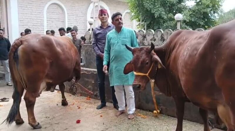 देहरादून के पुंडीर परिवार के लिए आर्थिक लाभ नहीं, गो सेवा है उद्देश्य,गाय की सेवा करने को मानते हैं अपना कर्तव्य