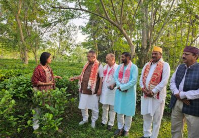 कृषि मंत्री जोशी  ने लिया  असम के बरपाथार स्थित चाय बागानों का जायजा, कहा –  उत्तराखण्ड में चाय उत्पादन की अपार संभावनाएं 