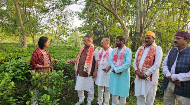 कृषि मंत्री जोशी  ने लिया  असम के बरपाथार स्थित चाय बागानों का जायजा, कहा –  उत्तराखण्ड में चाय उत्पादन की अपार संभावनाएं 