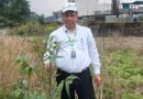 हरित दून के सपने को धरातल पर उतार रहा एमडीडीए, विश्व पर्यावरण दिवस पर 300 पौधों के रोपण  का अभियान चलाया, प्राधिकरण उपाध्यक्ष बंशीधर तिवारी ने कहा, पौधारोपण ही नहीं, पौध संरक्षण भी जरूरी 