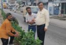 हरित दून का महाअभियान,  एक लाख पौधों से एमडीडीए बदलेगा देहरादून की तस्वीर, प्राधिकरण उपाध्यक्ष बंशीधर तिवारी ने लिया हरियाली का जायजा