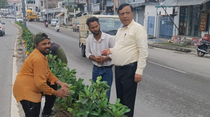 हरित दून का महाअभियान,  एक लाख पौधों से एमडीडीए बदलेगा देहरादून की तस्वीर, प्राधिकरण उपाध्यक्ष बंशीधर तिवारी ने लिया हरियाली का जायजा